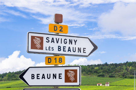 Directional road signs indicating Savigny les Beaune and Beaune towns in Burgundy wine region, Franceの写真素材