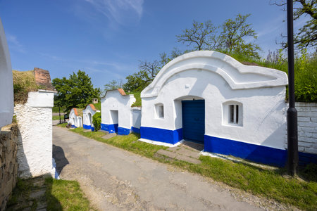 Traditional white and blue wine cellars with grassy roofs lining a path in Petrov, Plze, Czech...