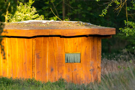 Small wooden cabin glowing in the afternoon sun in Dubnany, Czechiaの写真素材