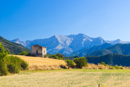 Landscape with an abandoned house in a field with the French Alps in the background, near Le...