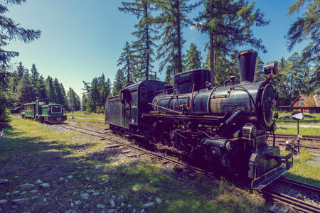 Vintage steam train and diesel railcar standing on narrow gauge railway in Museum of Liptov Village...
