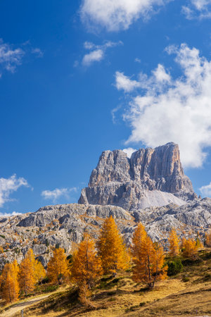 Scenic autumn landscape showing Cinque Torri peaks and golden larch trees in Cortina d'Ampezzo, Dolomites, Italyの写真素材