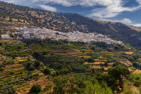 Whitewashed houses of Lobras village are built on a steep hillside above agricultural terraces, creating a picturesque landscape in Andalucia, Spainの写真素材