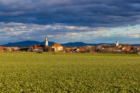 Scenic view of Olbramovice in South Moravia, Czech Republic, showcasing church steeples, houses, and vast green fields under a cloudy skyの写真素材