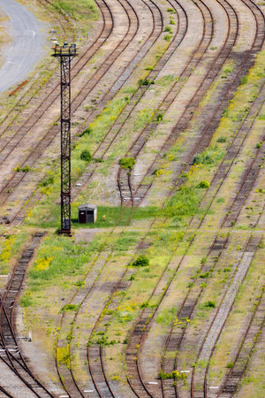 Abandoned railway tracks with wildflowers growing along themの写真素材