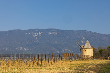 Windmill beside vineyard with mountain backdrop in Provence, Franceの写真素材