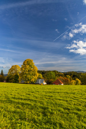 Picturesque rural scene with trees and houses under a blue skyの写真素材