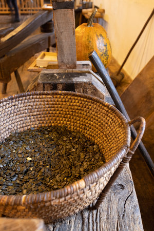 Wicker basket full of pumpkin seeds sitting on wooden table next to traditional oil press in Heimschuh, Styriaの写真素材