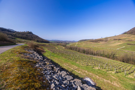 Rolling hills and vineyards under a clear blue sky in Chateau Chalonの写真素材