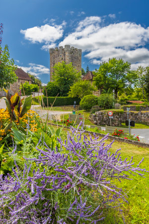 Beautiful purple flowers in the foreground with the medieval castle of Capdenac in the background, Lot, Franceの写真素材