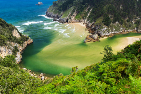 Lush greenery surrounds a serene bay in Cantabria, Spainの写真素材