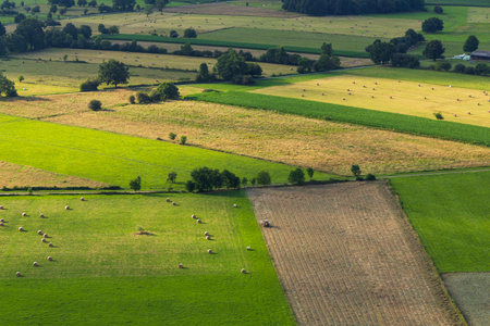Expansive fields with hay bales and patches of greenの写真素材