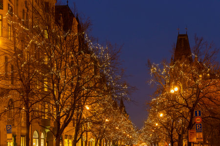 Christmas lights decorating trees along a Parizska street at twilightの写真素材