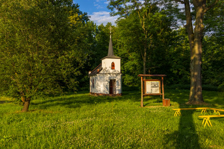 Small white chapel with a tall spire is surrounded by lush green grass and trees in Osoblaha, Czechiaの写真素材