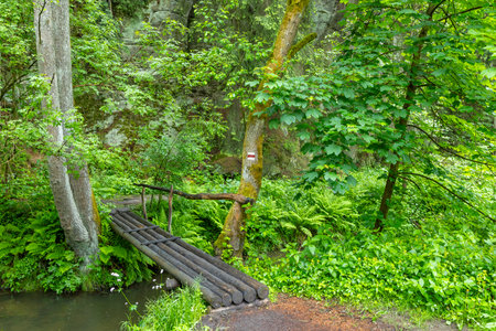 Tranquil forest scene with a wooden bridge in Libosovice, Czechiaの写真素材