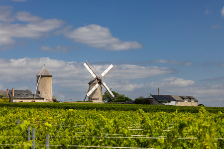 Traditional windmills stand tall amidst lush vineyards in the French countryside, creating a picturesque scene under a summer skyの写真素材
