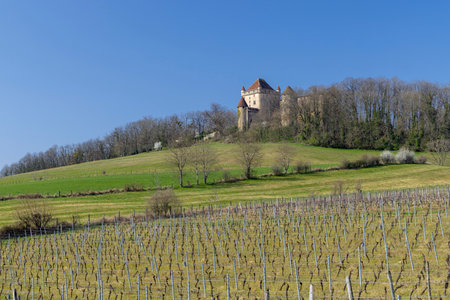 Scenic view of a medieval castle dominating the vineyards in the Jura region of France, under a clear blue skyの写真素材