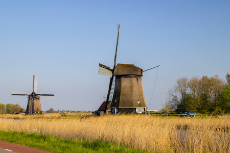 Two windmills are standing on the bank of a canal in Heerhugowaard, Netherlandsの写真素材