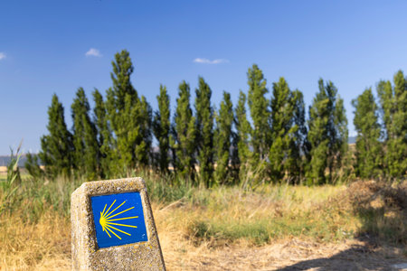Milestone with yellow scallop shell marking the Camino de Santiago in Navarre, Spain, pointing pilgrims towards Muruzabalの写真素材