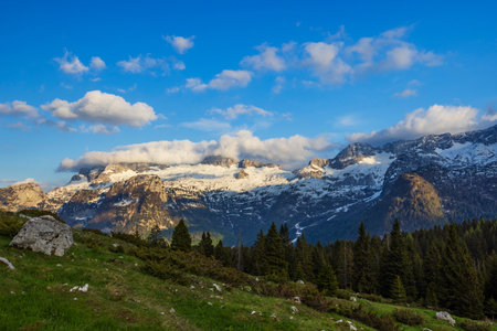 Green meadow and coniferous forest at the foot of the snow capped Italian Alps in Friuli Venezia...