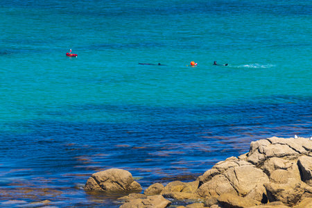 Lifeguards are using a rescue board and swimming in turquoise water to watch swimmers in Landunvez, Franceの写真素材