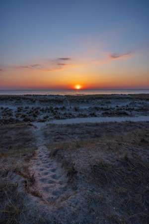 Scenic view of a sandy path through dunes leading to the ocean during a vibrant sunset in Petten, North Hollandの写真素材