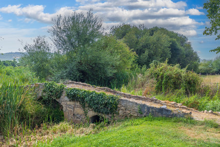 Old roman bridge covered by vegetation and surrounded by trees and green grass, in Marvao, Portalegre, Portugalの写真素材