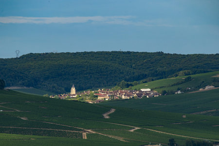 Idyllic landscape showcasing the beauty of champagne vineyards and a charming village in the french countrysideの写真素材