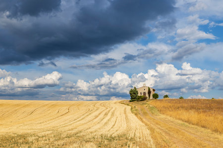 Scenic view of a chapel surrounded by golden wheat fields in Provence, France, under a cloudy summer skyの写真素材