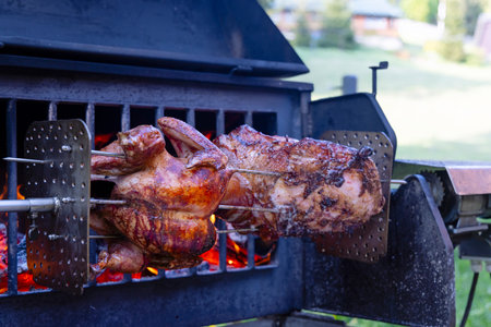 Roasting pork and turkey on spitの写真素材