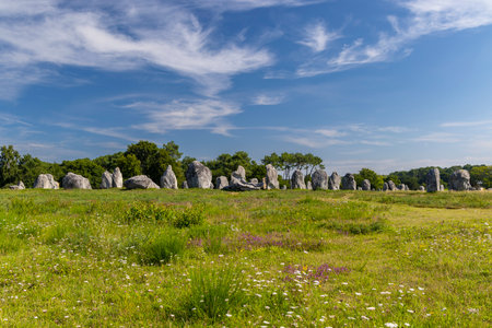 Standing stones (or menhirs) in Carnac, Morbihan, Brittany, France