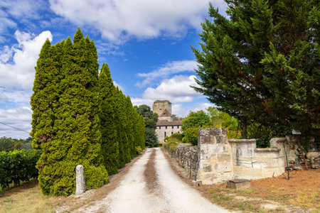 Rural driveway leading to Chateau de Curton in Daignac, Gironde, France, under a blue sky