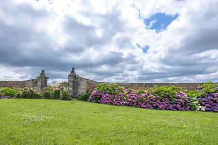 Green grass and hydrangea bushes leading to an old garden gate under a cloudy skyの写真素材