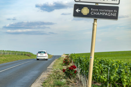 Car traveling on D34 road through vineyards, following the Champagne tourist routeの写真素材