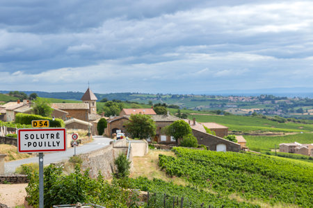 Solutre Pouilly village in the Maconnais wine region, France, showing vineyards and buildingsの写真素材