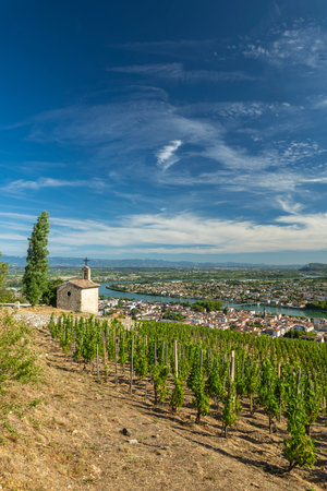 Vineyards and chapel looking over a town and river in the Drome department of Franceの写真素材