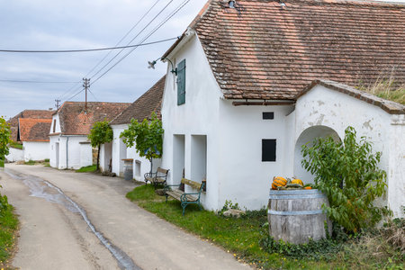 Traditional cellars with white facades and tiled roofs lining a street in Lower Austriaの写真素材