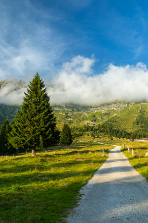 Winding path leading through green mountain terrain with a blue sky and cloudsの写真素材
