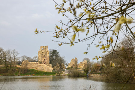 Ancient castle ruins stand beside a tranquil pond with early spring catkins in the foregroundの写真素材