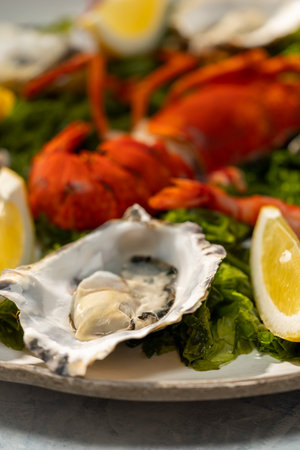 Fresh raw oyster on a platter with lobster and lemon slices