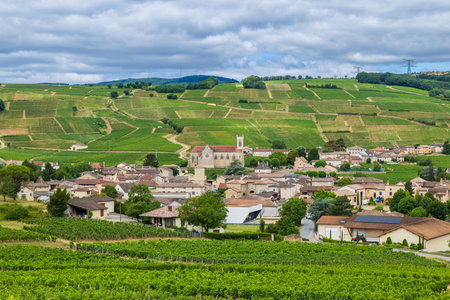Village surrounded by verdant vineyards under a cloudy sky in Bourgogne, France