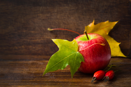 autumn background with apple, colored maple leaves, roseの写真素材