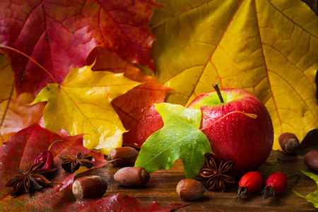 autumn background with apple, nuts, colored maple leaves, rose and aniseの写真素材