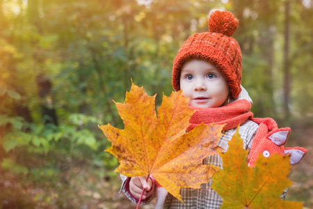cute baby in autumn clothes. child in knitted hats and scarf holding maple leavesの写真素材