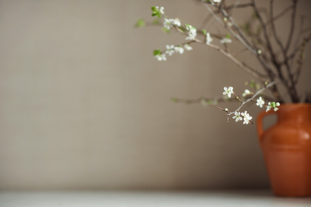 clay pitcher with a bouquet of cherry blossoms on the table.の写真素材