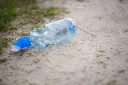 plastic bottle on path. garbage collection in nature in forest. collection of waste. environmental...