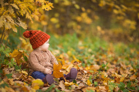 baby in knitted hat and jacket sits on grass in Park against background of autumn trees. children's clothing. walk outdoor.の写真素材