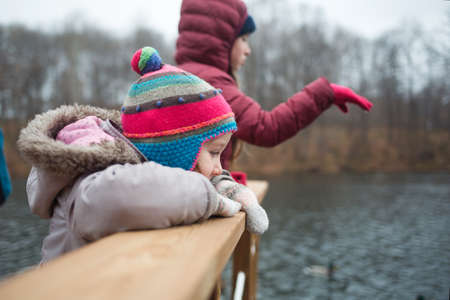 family walks in the Park in autumn. children feed ducks on lake. people in October outdoors.の写真素材