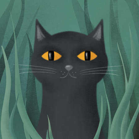 a black cat with yellow eyes hides in a thicket of grass. pet animal drawingの写真素材