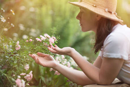 bush rose flowers in summer Ornamental garden. girl woman in hat looks at flowers of Park. Gardening and landscapedの写真素材
